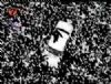 Tarkan - kdm