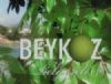 Beykoz Belgeseli