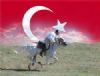 Muhsin Yazcolu Son Yolculuk Belgeseli