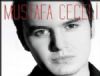 Mustafa Ceceli - Limon iekleri