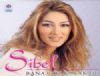 Sibel - Efendim itmedim
